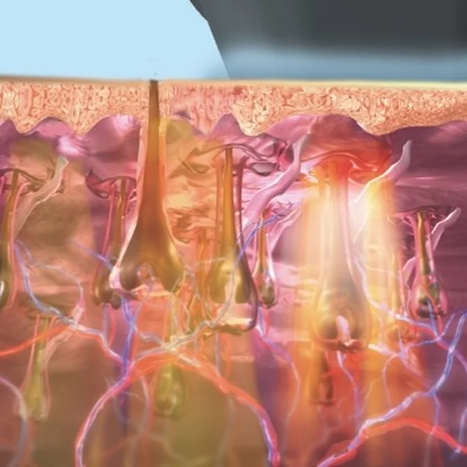 专业能源控制系统