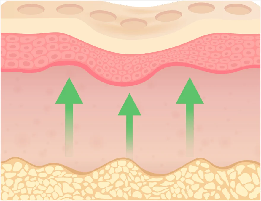 Jubelook 程序步骤 2 成分明细表