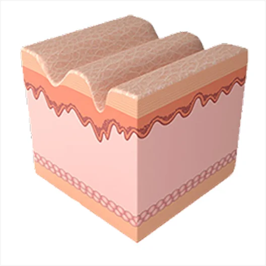 幻影喷气机程序 1