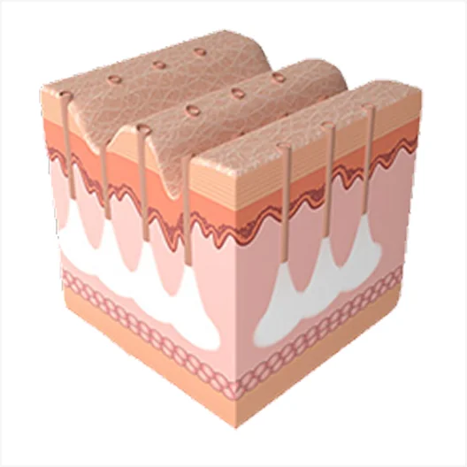 幻影喷气机程序 3