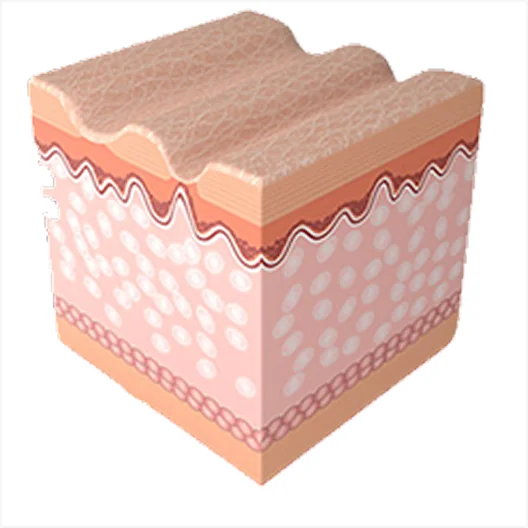 幻影喷气机程序 4