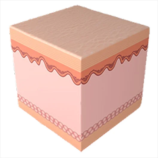 幻影喷气机程序 5