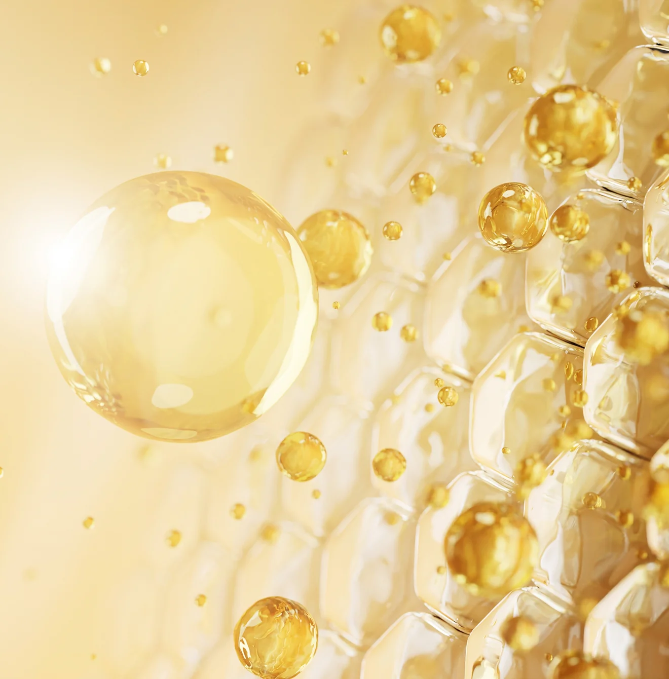 Lycella 方案细胞再生视觉图像