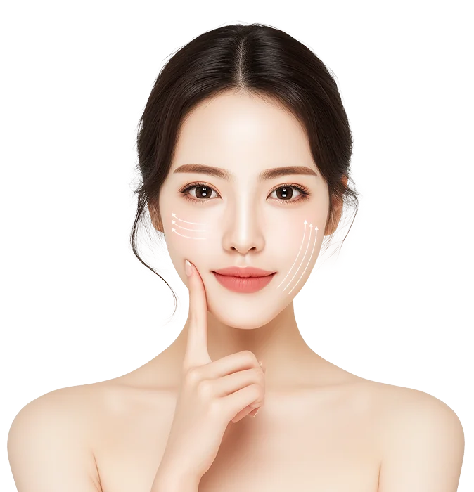 Dr.Eraser提线可视模型